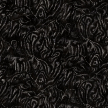 BL1095