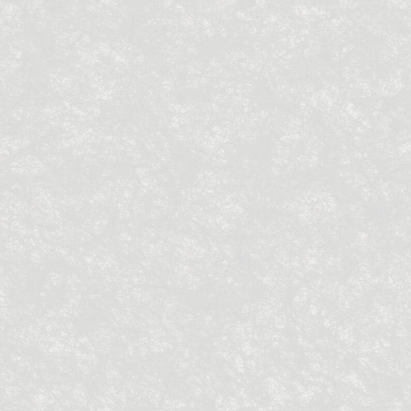 EC37051